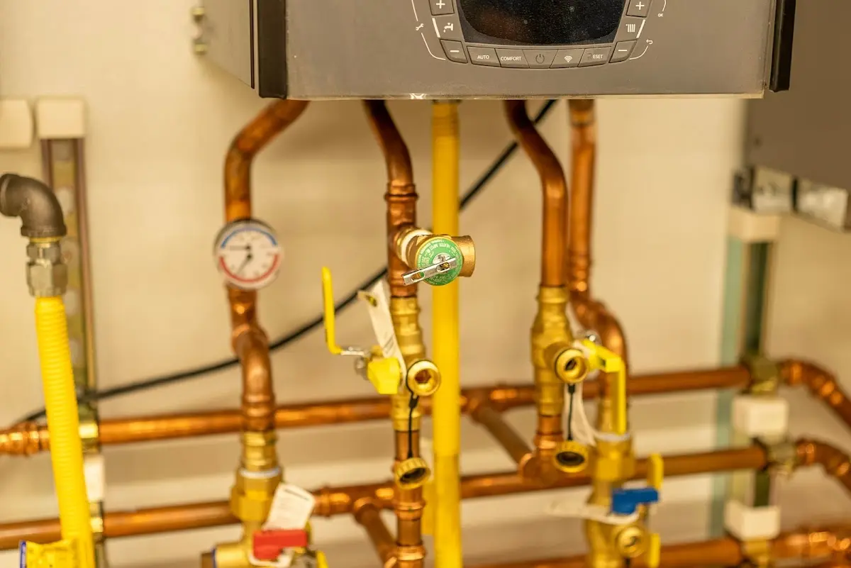 Licensed technician providing Emergency Plumbing for a homeowner in Bainbridge